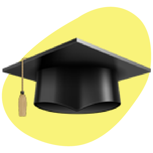 Universities